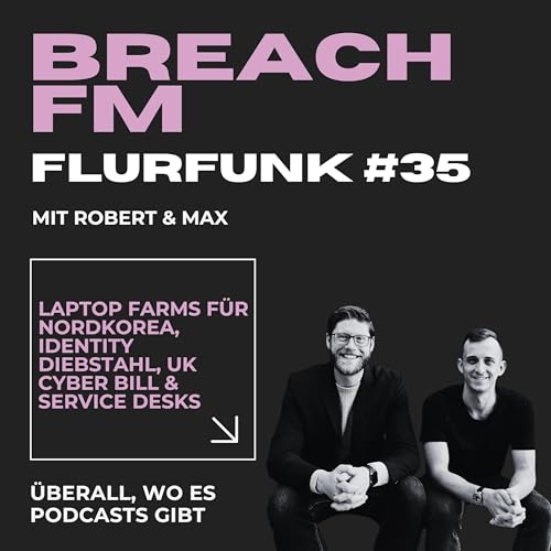 『Flurfunk - Laptop Farms für Nordkorea, Identity Diebstahl, UK Cyber Bill & Service Desks』のカバーアート