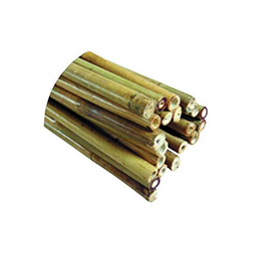 Image of Nutley's 10 Garden Bamboo Canes, 8-10mm thick, 4' (1.2m) long