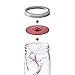4-Pack of Fermentation Lids with Extractor Pump for Wide Mouth Mason Jar