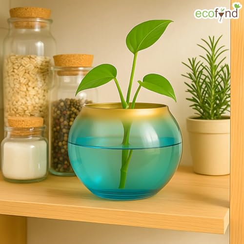 Image of ecofynd Glass Vase for Flowers Plants, Modern Decorative Vase for Home Decor Center Table, Bedroom, Living Room, Office Decoration, Wedding or Gifts, Luster Glass Vase, (GVASE011)