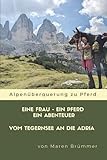 Eine Frau - Ein Pferd - Ein Abenteuer: Ein Solo-Wanderritt über die Alpen
