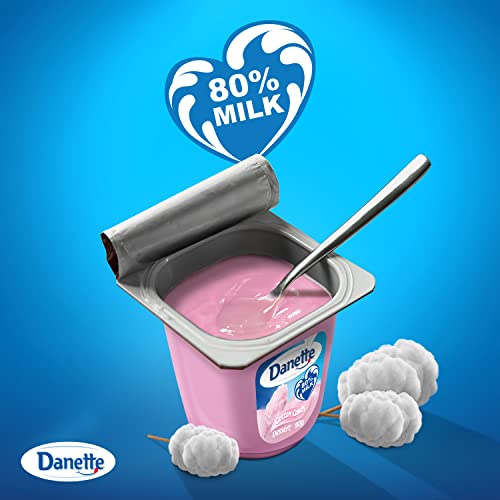 Safi Danone Danette Dessert Cotton Candy Flavour 90g