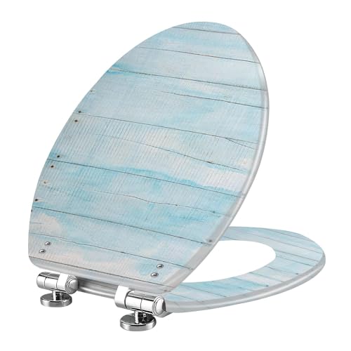 Elongated Toilet Seat Distressed worn weathered old pastel blue white colored wooden teak Resin Toilet Seat Slow Quiet Close with Quick-Release Hinges Toilet Seat with Cover Easy to Clean Install
