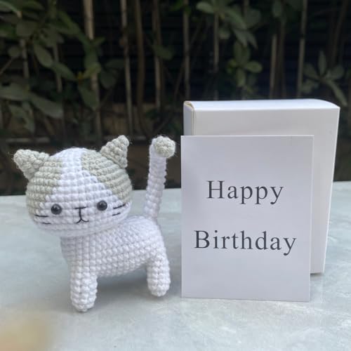 asqqas Handmade Crochet Cat Birthday Card Cute Surprise Fun Gifts for Women Kids Girl Boy Cat LoverCat themed gifts