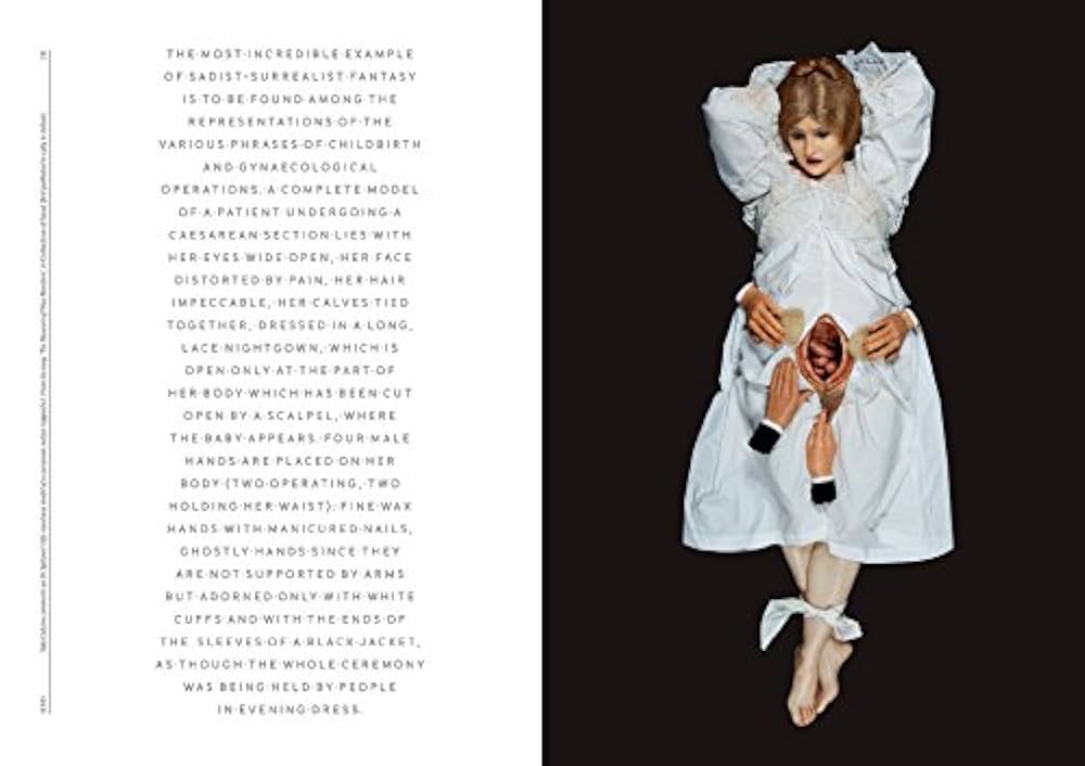 Amazon | The Anatomical Venus: Wax, God, Death & the