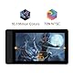 GAOMON PD1320 13,3 Zoll Graphictablet mit Display, HD -IPS -Monitor mit 8192 Druckpegeln und Batterieloser Stift AP50 mit Neigung, Kompatibel mit Windows, Mac und Android, Blau