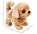 Westminster, Inc. Redley the Retriever - Cute, Cuddly, Plush Battery Operated Dog Toy Walks, Wiggles, and Barks with Sound