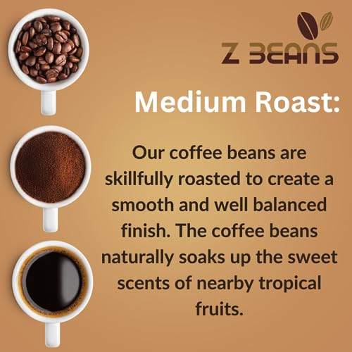 Organic Premium Grade Arabica Whole Bean Medium Roast Coffee- Sustainably Sourced- Small Batch -Rich Well Balanced Flavor With Notes of Citrus and Chocolate-Low Acidity- Non-GMO-12 OZ Bag