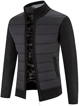 BIISDOST Winterparka voor heren, outdoor, winterjas, thermische dikke winddichte windbreaker, opstaande kraag, modieuze wandeljas met ritssluiting, gewatteerd jack met capuchon, breed, eenvoudig