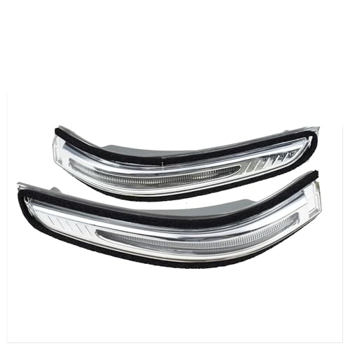 Clignotant de rétroviseur brisé remplacer lampe indicateur Hyundai Santa Fe