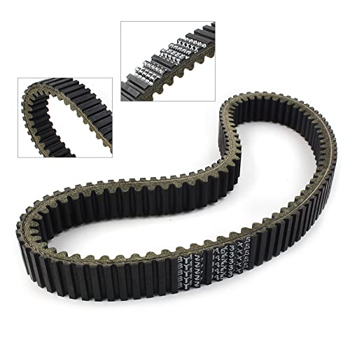 Correa de transmisión extremadamente resistente marca Bacar para gama WILDCAT 1000 GT 3