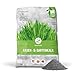 Produktbild Plantura Premium Rasen- & Gartenkalk, 15 kg für 100-150 m², fein gekörnter kohlensaurer Kalk, gegen Moos im Rasen