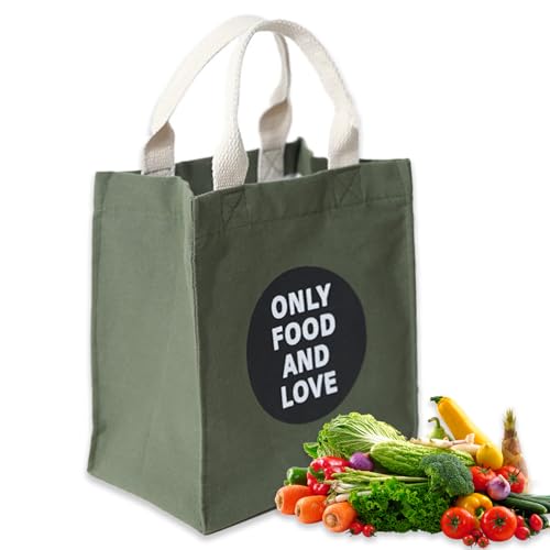 Runziti Bolsas reutilizables para comestibles, bolsa plegable resistente con asas largas para un fácil transporte y almacenamiento, ideal para compras y viajes (verde)