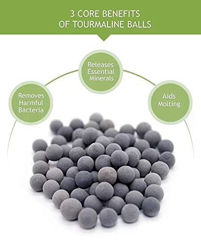 DreamDealsSG 100 Pieces Tourmaline Balls for Betta Fish Tank Accessories. Mineral Calcium Supplement. Live Shrimp Food… - Image 5