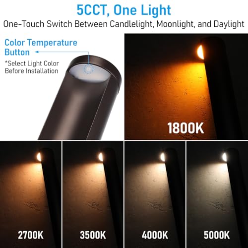 Image of LEONLITE 12-Pack 5CCT Anti-Glare Low Voltage Landscape Lights, 12-24V AC /DC