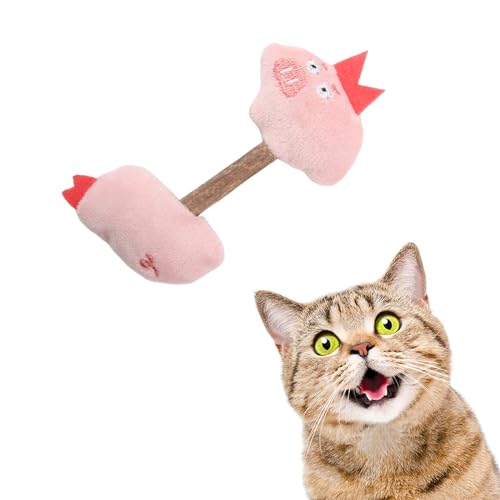 bardsxgfg() L ފߋ ܂ L_ VR Y S Lނ H~i XgX C ()