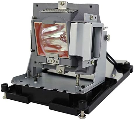 BulbAmerica Projector Lamp for Vivitek 5811118436-SVV - Housing Assembly with Original OEM Bulb