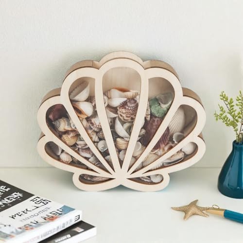 Seashell Display Box Seashell Holder with Acrylic Panel Storage Box for Shells Sea Glass Small Starfish Shark Tooth Seashell Collection Box Home Decor Christmas Gift Birthday Present