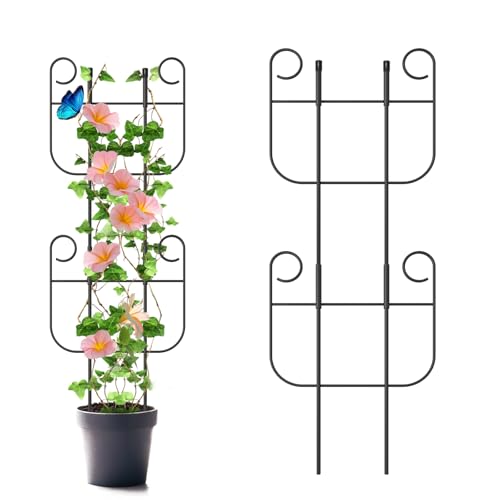 2 Pack Trellis for Climbing Plants Indoor Expandable Small Metal Trellis for Potted Plants Flowers Vine Ivy Sturdy Houseplant Pothos Plant Climber Support