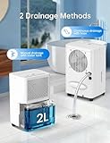 10L/Day Dehumidifier for Bedroom with Automatic Humidity Sensor & Display, 24-hour Timer, Laundry Drying, Continuous Drainage, Effective & Powerful Home Dehumidifiers (10L Compressor Dehumidifier) - Image 6
