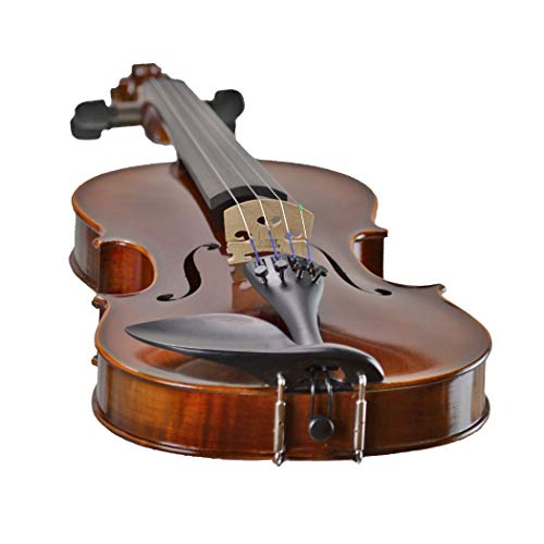 Louis Carpini G2 Violin Outfit Review New Violinist