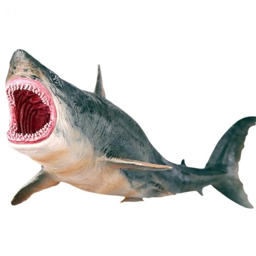 ���K���h�� �T�� ���f�� �͌^ �V�[���C�t �R���N�V���� �t�B�M������ �{���������� �t�B�M���A �u�� ���� �M�t�g �j�̎q ���̎q