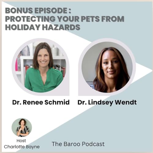 From the Archives : Protecting Your Pets from Holiday Hazards