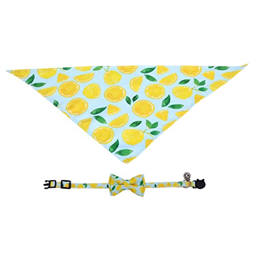 Angoily 2 ybg̎ L̎ L\ sN ^O Ȏq