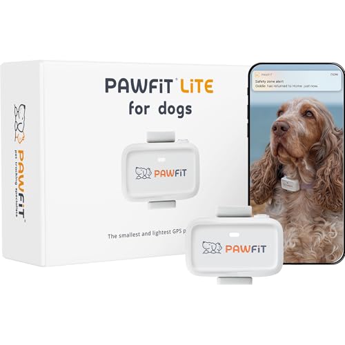 Pawfit Lite for Dogs 4g GPS Tracker | Real Time Tracking | Activity Monitoring |Location History | Unlimited Range | Safety Collar Included | Simply white