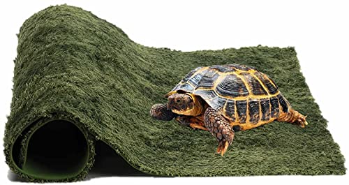 爬虫類 リクガメ 飼育セット」の人気商品一覧・価格比較 - 価格.com