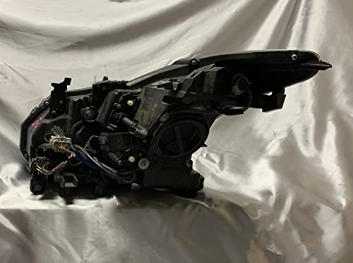 Amazon | 車検対応□V36 スカイライン 前期 クーペ AFS有り□インナー