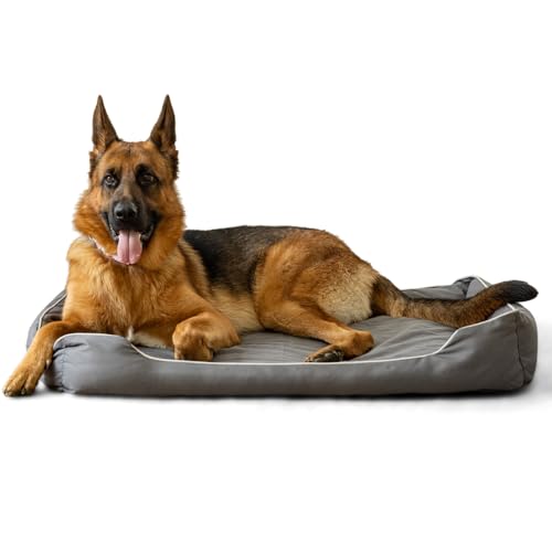 BOXXBERK Waterproof Dog Mats for Large Medium Dogs,Outdoor Orthopedic Foam Dog Bed with 900D Oxford Fabric Surface,Dog Bed for Crate with Removable Washable and Machine Cover,35