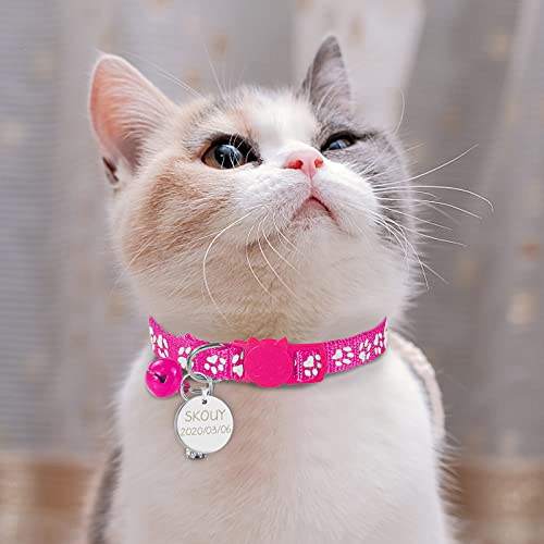 Uiopa Collarino Gatto Antistrozzo + Targhetta Cane...