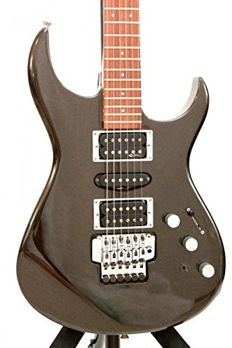 Amazon | FERNANDES/FGZ-650S / Black | エレキギター | 楽器・音響機器
