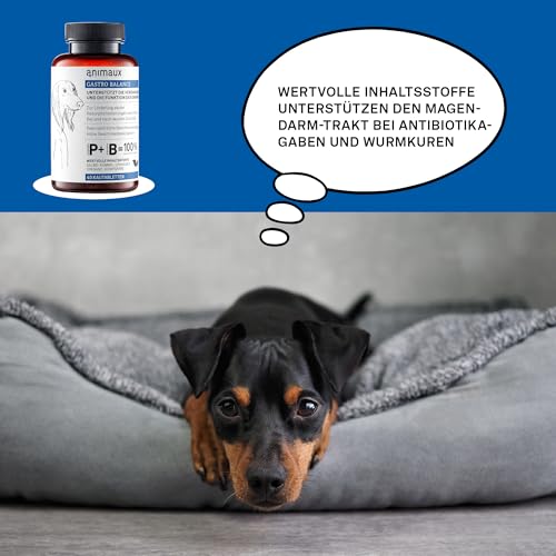 Kautabletten für Hunde bei Durchfall – Zur Stabilisierung der Darmflora & Verdauung – Diät-Ergänzungsfuttermittel – 40 x 2,5 g – animaux Gastro Balance