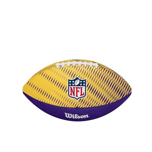 Image of WILSON Unisex NFL Team Tailgate Footballs