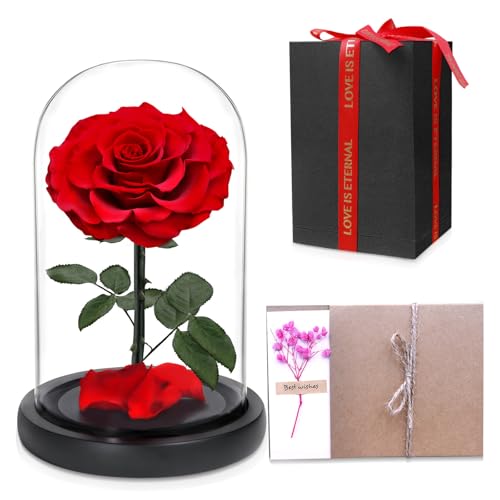 Heyolo Forever Preserved Rose, Handcrafted Eternal Rose in Glass Dome, Beauty and The Beast Rose, Best Expression of Love for Women, Mother's Day, Valentines Day, Christmas, Birthday, Anniversary