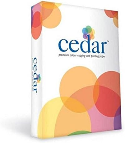 A4 Paper,100 Gsm(Pack of 1)