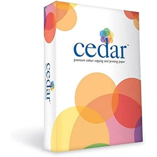 A4 Paper 100 Gsm Pack of 1