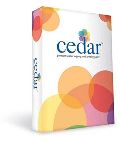 JK Cedar A4 Paper,100 Gsm(Pack of 1)