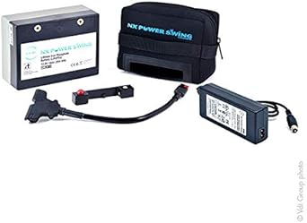 Caricabatterie per carrelli da golf