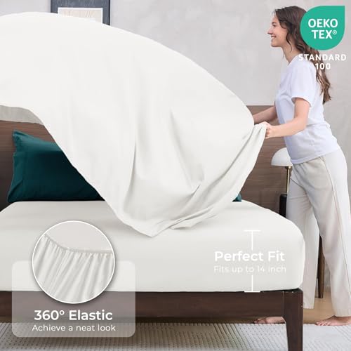 HEVUMYI Twin Comforter Set - 5-Piece All Season Bed in a Bag Twin, Ultra Soft Bedding Set with Comforter, Flat Sheet, Fitted Sheet, Pillowcases, Pillow Shams, Peacock Blue & Ivory