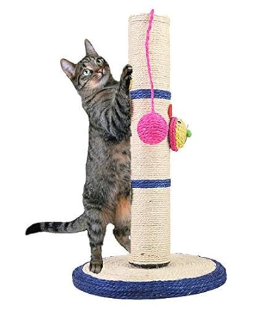 PoochBox Beautiful Shape Detachable Scratching Post Sisal Cat Scratchier with Ball (Color May Vary)