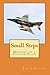 Small Steps: Memoirs of a Fighter Pilot