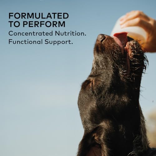 Image of Beef Bone Broth Concentrate for Dogs - Collagen Protein Supplement - Digestion, Mobility, Coat, Immune System, Joints - Healthy Dog Food Gravy Topper - Human Grade, Made in USA (16 oz, 30 Servings)