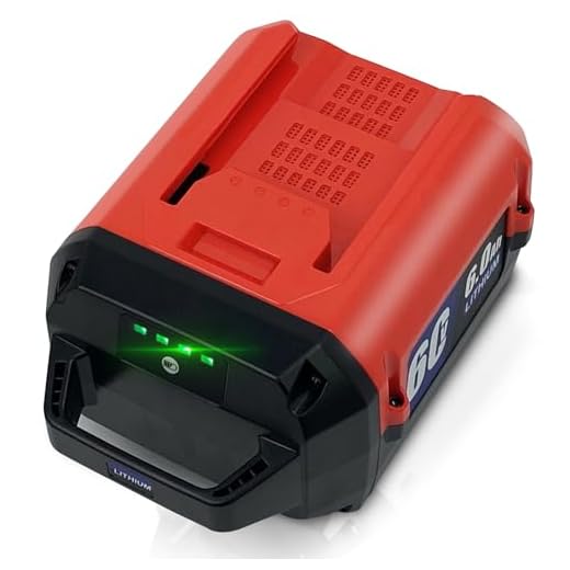 Hochleistungs 60V Lithium-Ionen-Akku