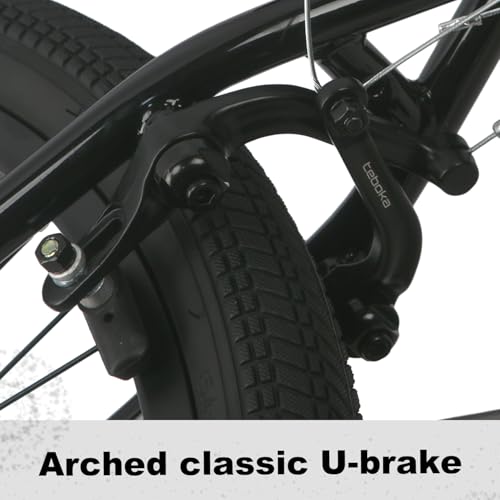 cubsala Echo 20 Inch BMX