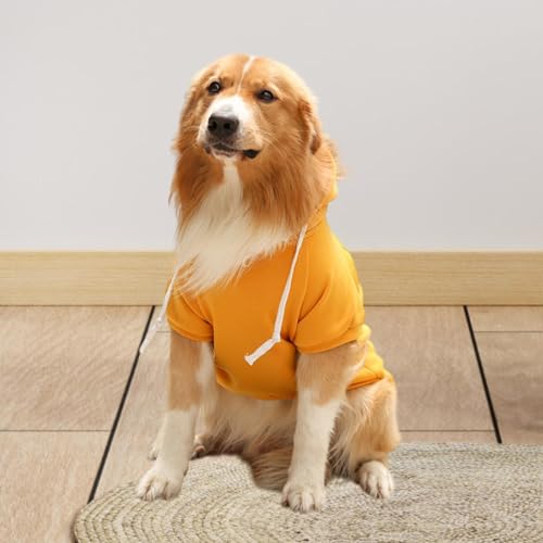 IEUDNS Moletom com capuz para cachorro, casaco macio para caminhada ao ar livre, roupas de inverno p