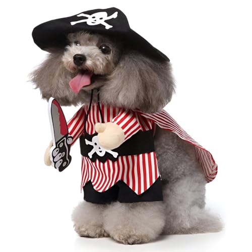 [Luvian]y ~pzp_fUC ybg`[ hf ߑ p/Up S5TCY ppW} jpߑ nybgEFA