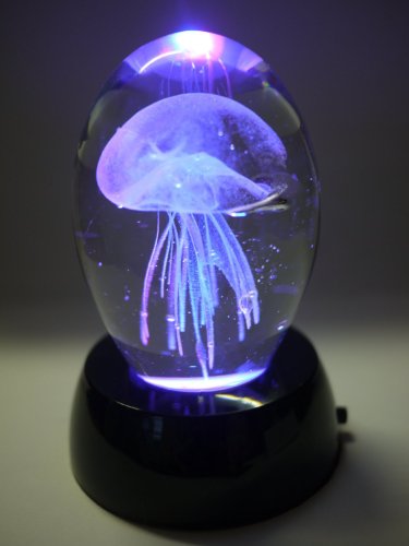 B00BJTIH6A 3.75 Inch Valentine Special Glass Jellyfish Paperweight cover